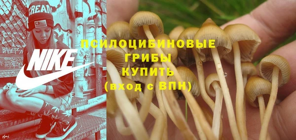 мдпв Зерноград